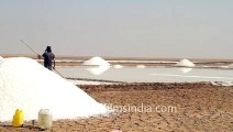 Salt panning in Little Rann of kutch, Gujarat