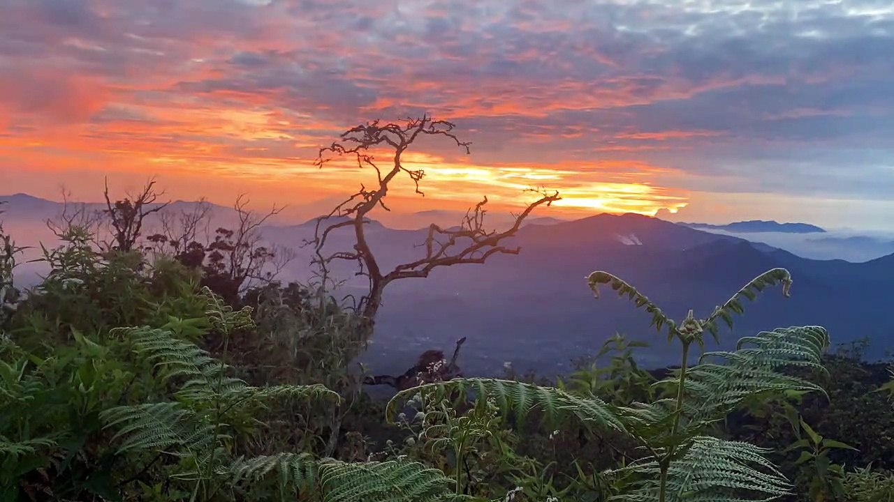 Timelapse