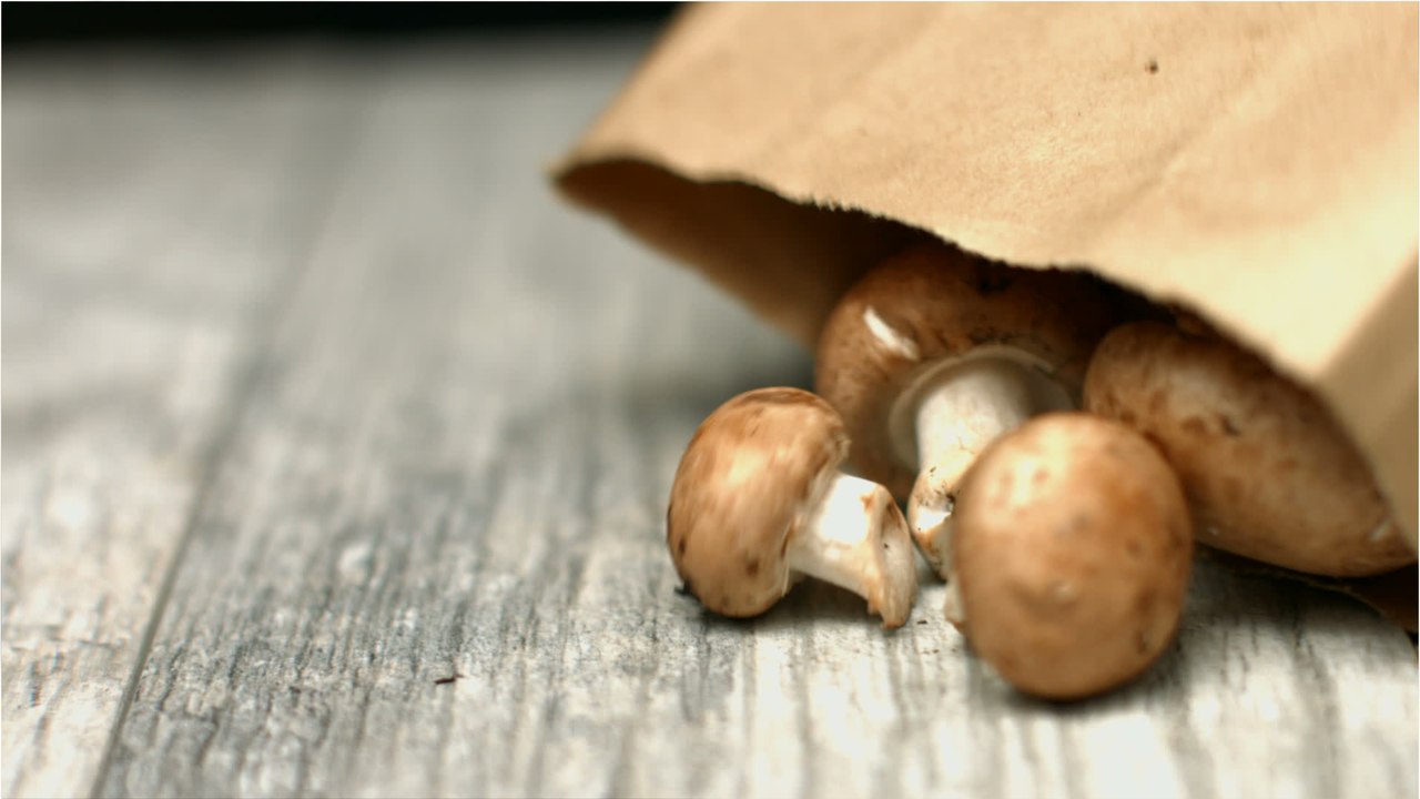 Ewiger Mythos? Pilze darf man aufwärmen - aber kein drittes Mal