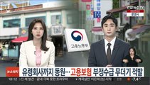 유령회사까지 동원…고용보험 부정수급 무더기 적발