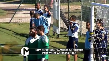 Com reforços, Palmeiras se prepara para volta do Brasileiro