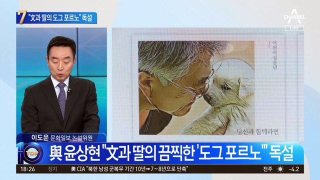 文 유기견 달력에…“도그 포르노” 독설 날렸다