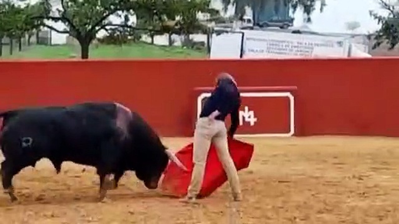 Borja Jiménez, toro a puerta cerrada