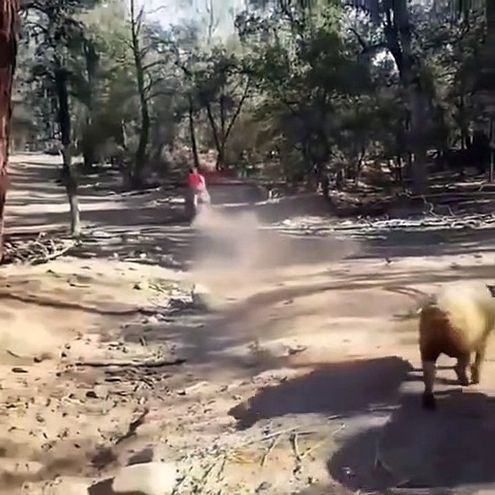 try to hold your laugh | funny videos  lucu ngakak