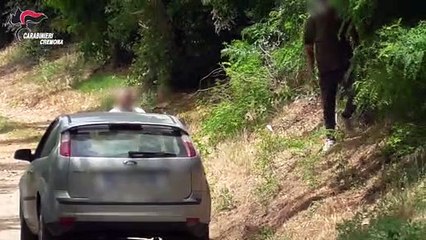 Spacciavano nelle campagne della Bassa Padana: 6 arrestati, altri 8 ricercati