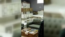 GÜMÜŞHANE - Nesli tükenme tehlikesinde olan vaşak mobilya mağazasına girdi
