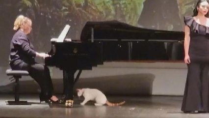 SÜREYYA OPERASI'NDA GÜLÜMSETEN ANLAR