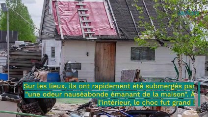Elle laisse son fils vivre au milieu de 300 rats dans des conditions macabres