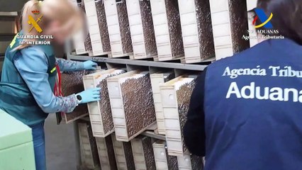Cae en Navarra la mayor red de fabricación y distribución de tabaco de contrabando de toda Europa