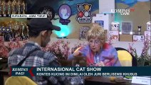 Melihat Keseruan Internasional Cat Show, Kontes untuk Para Kucing Sultan