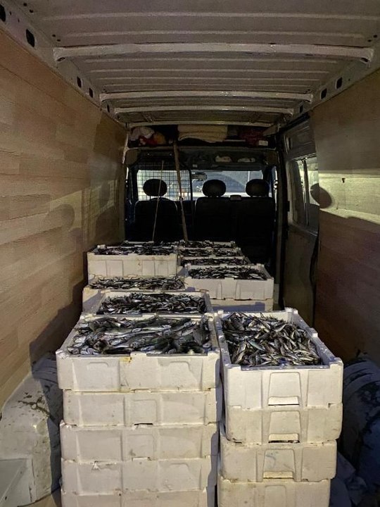 KÜÇÜK BOYDA LÜFER VE İSTAVRİT AVCILIĞI YAPAN TEKNE SAHİPLERİNE CEZA