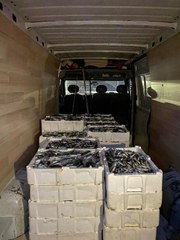 KÜÇÜK BOYDA LÜFER VE İSTAVRİT AVCILIĞI YAPAN TEKNE SAHİPLERİNE CEZA