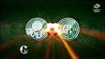 Assista aos melhores momentos da vitória do Palmeiras contra o Guarani