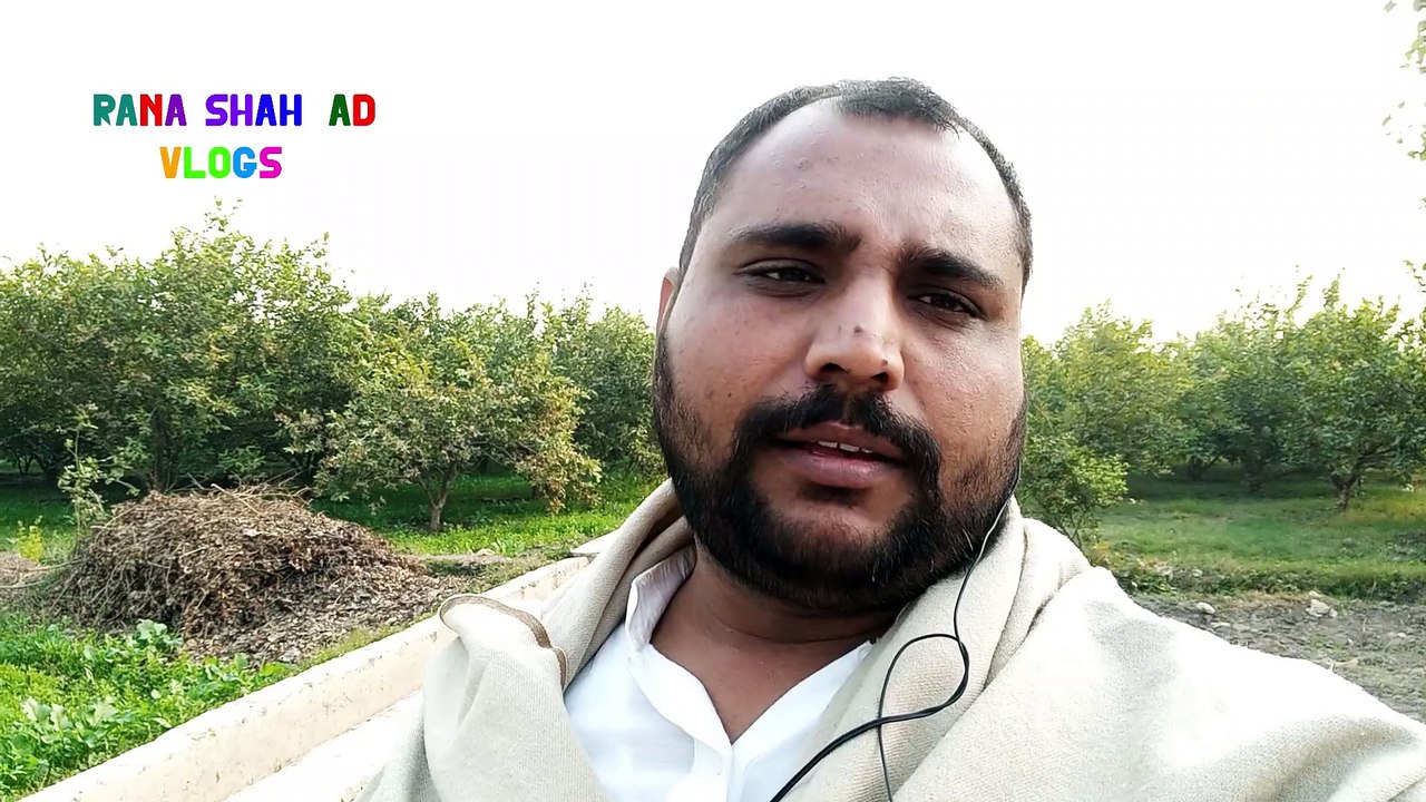 AAJ KARIEN GE AMROOD AUR LEMON K BAGHAAT KI SAIR - TOUR OF GARDEN OF GUAVA AND LEMON