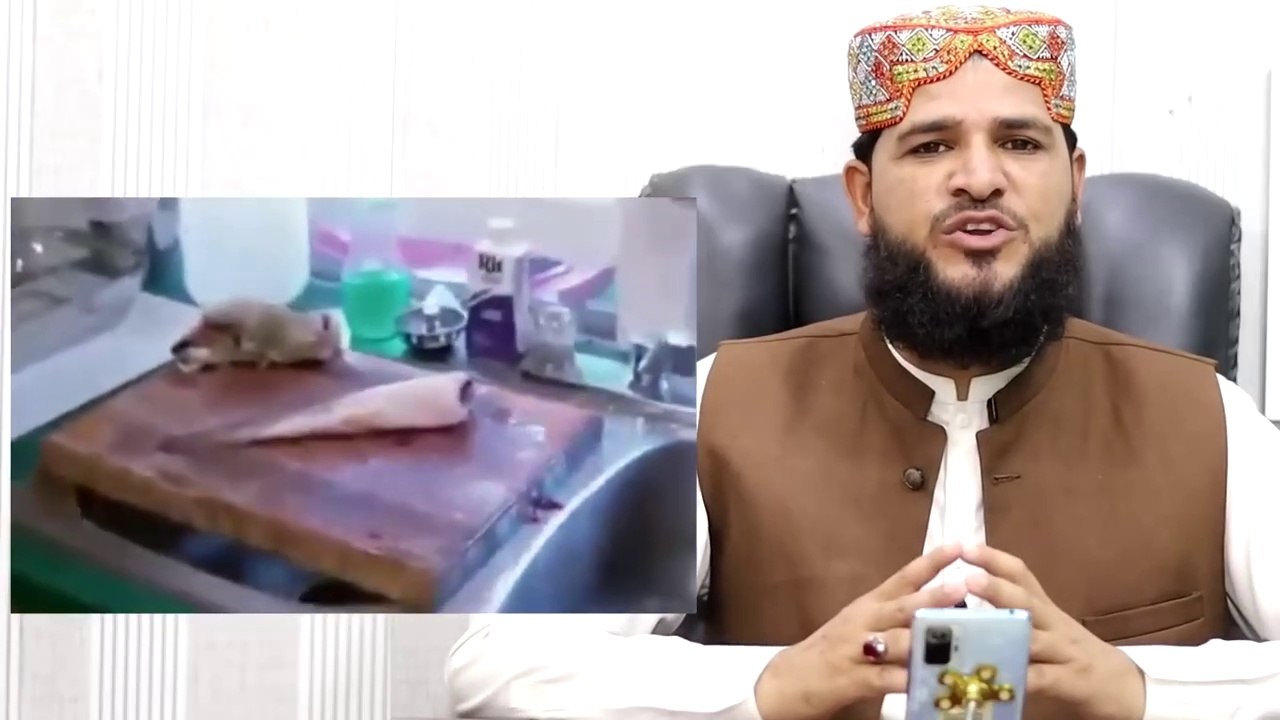 Allah Ki Kudrat Machhali Pakane Lage To Kati Howe Machhali Pher Zinda Ho Gai _ Miracle of Allah