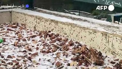 طبقة رقيقة من الثلوج تغطي باريس