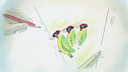 A vol d'oiseaux Bande-annonce VF (2023) Animation