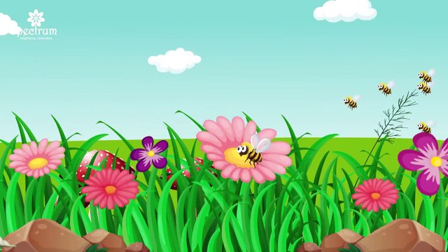 Allah Hoo (Poem ) Islamic cartoons for kids | Islamic cartoons video category | Islamic cartoon in english | Islamic cartoon video | Islamic cartoon song | Islamic cartoon | Islamic cartoon in Urdu | allah hi poem in Urdu | allah hoo naat | allah hoo zik