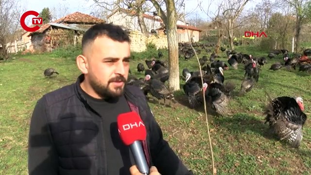 Yılbaşı öncesi hindinin fiyatı, kilosuna göre bin lirayı buluyor