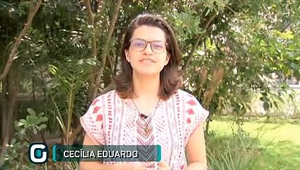 Boletim da tarde - 0703