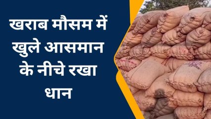 हमीरपुर: मिलर तय होने के बाद भी नहीं उठ रहा धान,खुले आसमान के नीचे रखा हुआ है धान