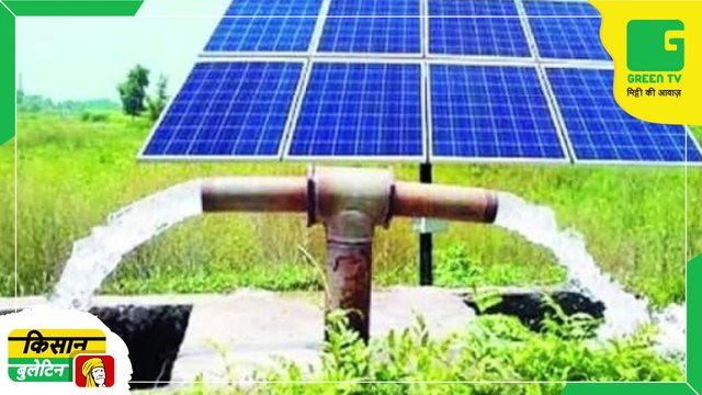 Kisan Bulletin 14 December 2022 | बीज खरीदने के बदले किसानों को मिलेंगे करोड़ों के उपहार | लाल मूली की खेती कर किसान ने पेश की मिसाल | Green TV