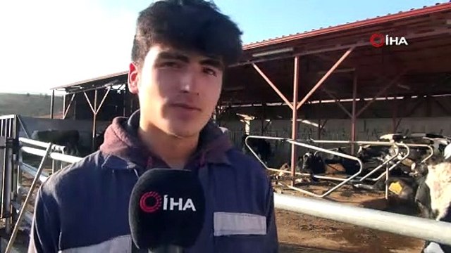 Öğrenciler bu okulda inek sağıp doğal yoğurt üretiyor