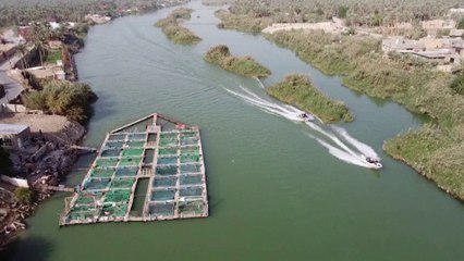 هذه الأسباب وراء انهيار الثروة السمكية في ربوع العراق