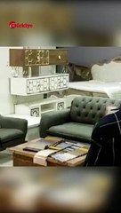 Vaşak Bahçedeki Tavukları Yedi Mağazaya Kaçtı #shorts