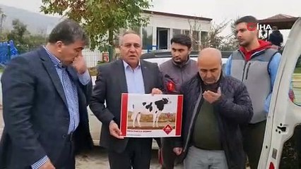 Aydın'da düve sayısı bu proje ile artacak