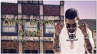 White Brown Black Karan Aujla ( Slowed And Reverb ) Punjabi song | Karan Aujla Song