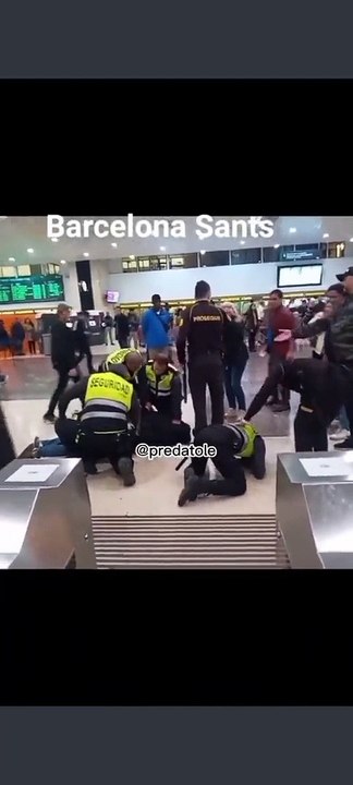 Un equipo de seguridad de Rodalies reduce al agresor de un vigilante