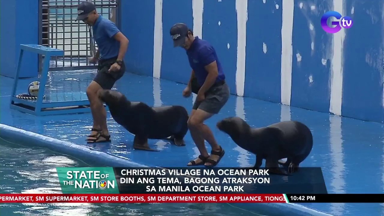 Christmas Village na Ocean Park din ang tema, bagong atraksyon sa Manila Ocean Park | SONA