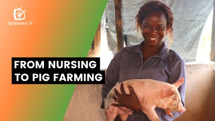Burkina Faso: From nursing to pig farming