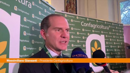 Giansanti "L'Europa è in stato di guerra, servono fondi straordinari"