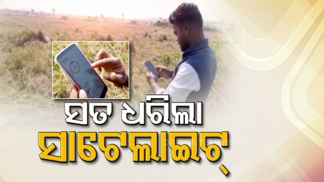 Paddy procurement: Satellite survey exposes irregularities in land registration in Odisha