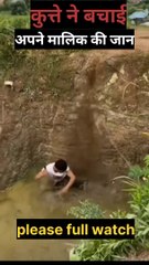 Kutte ne bachai apne Malik ki jaan