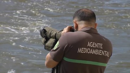 Fallece un agente medioambiental arrastrado por las lluvias