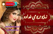 Zama yo tu | Pashto poetry | pashto black screen status | hussan bacha.