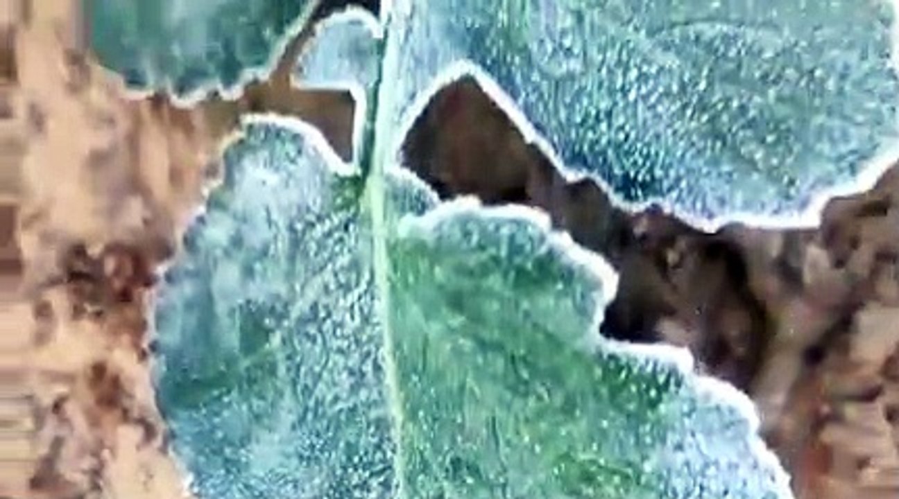 एक से चार डिग्री सेल्सियस तक गिरा पारा, फतेहपुर...
