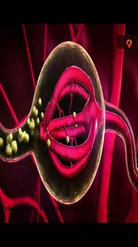 Blood facts that you should know #shorts #facts #vigyanrecharge