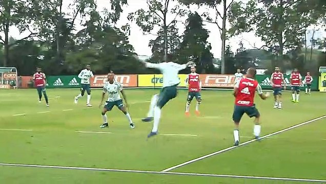 Treino do Palmeiras - 2602