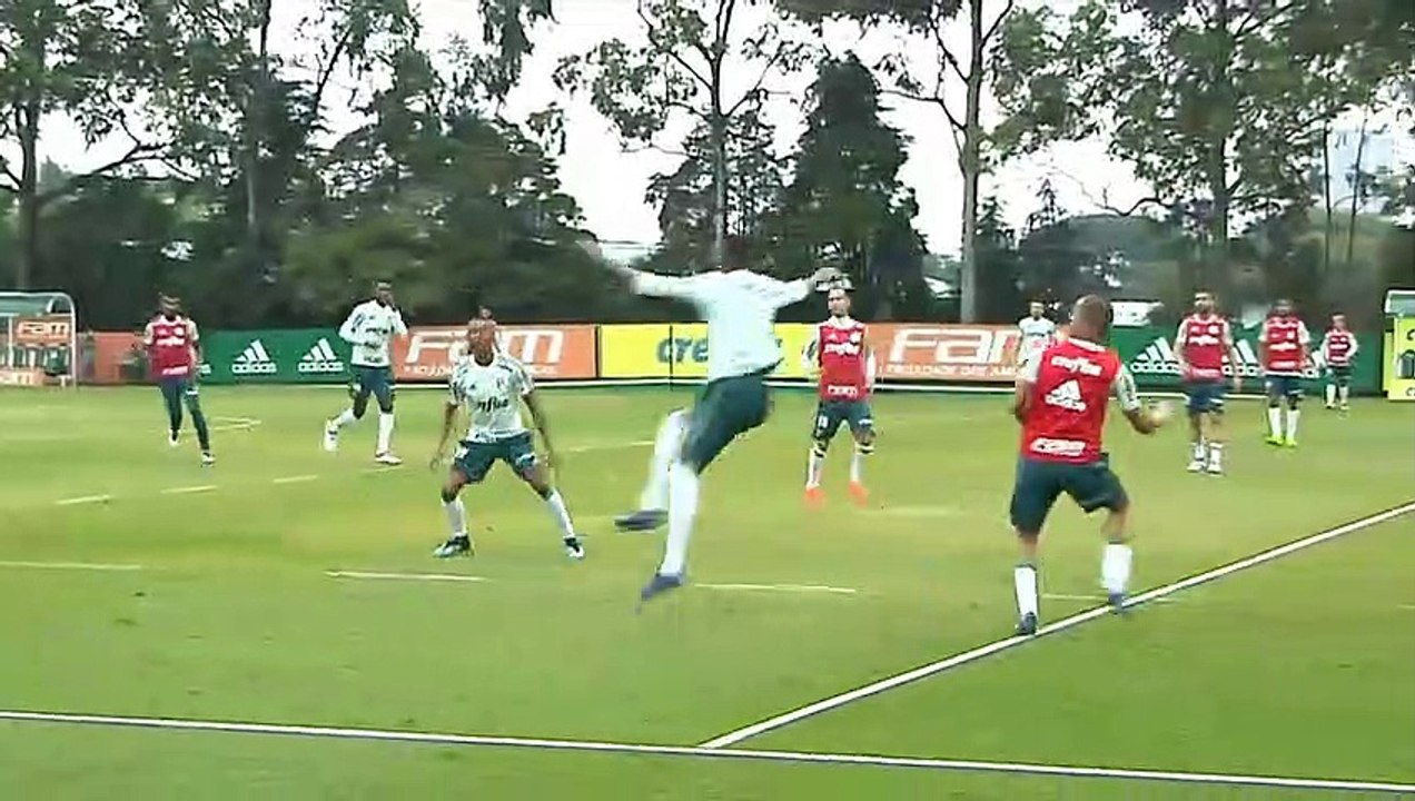 Treino do Palmeiras - 2602
