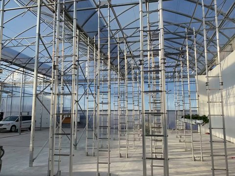 Encore plus de fraises qui poussent à la verticale dans un environnement contrôlé