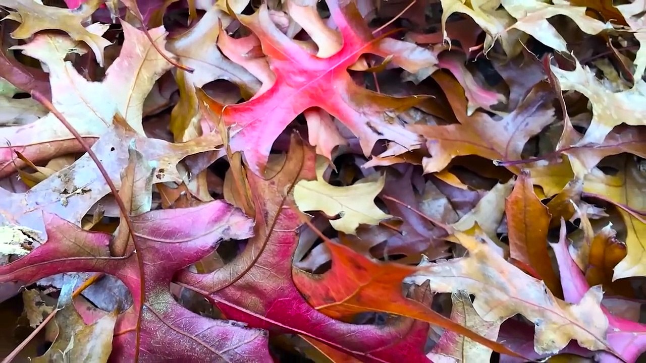 Stuck Inside During a Snowstorm? Try This Fun and Easy Art Project With The Kids