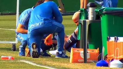 Palmeiras volta aos treinos veja imagens