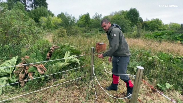 ذوبان الأنهار الجليدية مؤشرٌ بارز لمخاطر الاحتباس الحراري.. نهر سان رافائيل التشيلي مثالاً