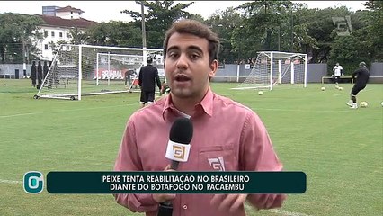 Santos busca reabilitação no Brasileiro diante do Botafogo