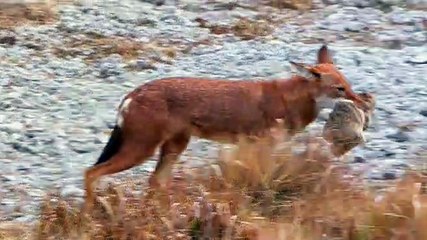 Africa.1of6.Montañas