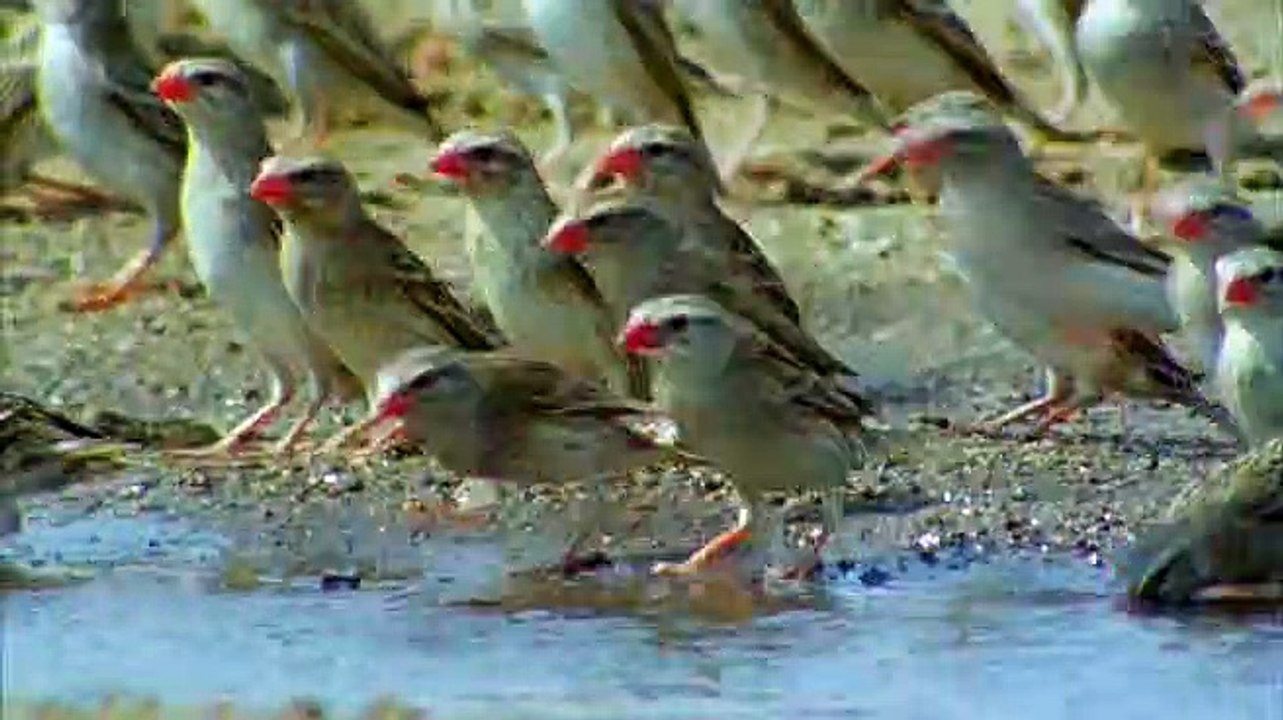 Africa.6of6.rios y lagos